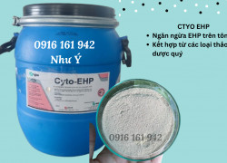 CYTO EHP - Ngăn ngừa và hỗ trợ điều trị triệt để bệnh EHP trên tôm