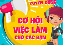 TUYỂN DỤNG KỸ SƯ