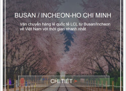 Giá Cước Vận Tải Biển Hàng Lẻ Từ Hàn Quốc Về Hồ Chí Minh