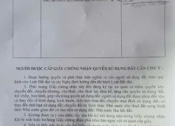 CHÍNH CHỦ CẦN BÁN Đất vườn, cây ăn trái đã thu hoạch được ở Phú Hội, Đức Trọng, Lâm Đồng