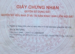 CỰC HÓT - CHÍNH CHỦ CẦN BÁN Đất vườn, cây ăn trái đã thu hoạch được Phú Hội, Đức Trọng, Lâm Đồng