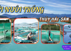 Lưới nuôi trồng thủy hải sản