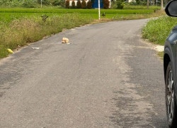 Bán Đất Diên An ngay khu dân cư Phú Ân Nam 2 Cách Đường 23/10 200m, Diên Khánh, Khánh Hòa