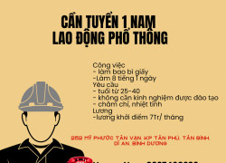 Cần tuyển 1 Nam lao động phổ thông