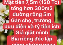 ĐẤT VÀNG MỘC CHÂU