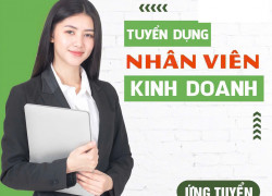 Tuyển 1 trưởng phòng & 5 NVKD làm tại Bến Cát Bình Dương