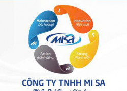 CTY MI SA s/x tăm bông vệ sinh tai, tuyển công nhân, KCS và kế toán