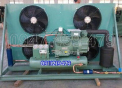 0947.459.479 Cung cấp, lắp đặt cụm máy nén kho lạnh Bitzer 20 hp 4GE-23 tại Đồng Nai, Bình Dương