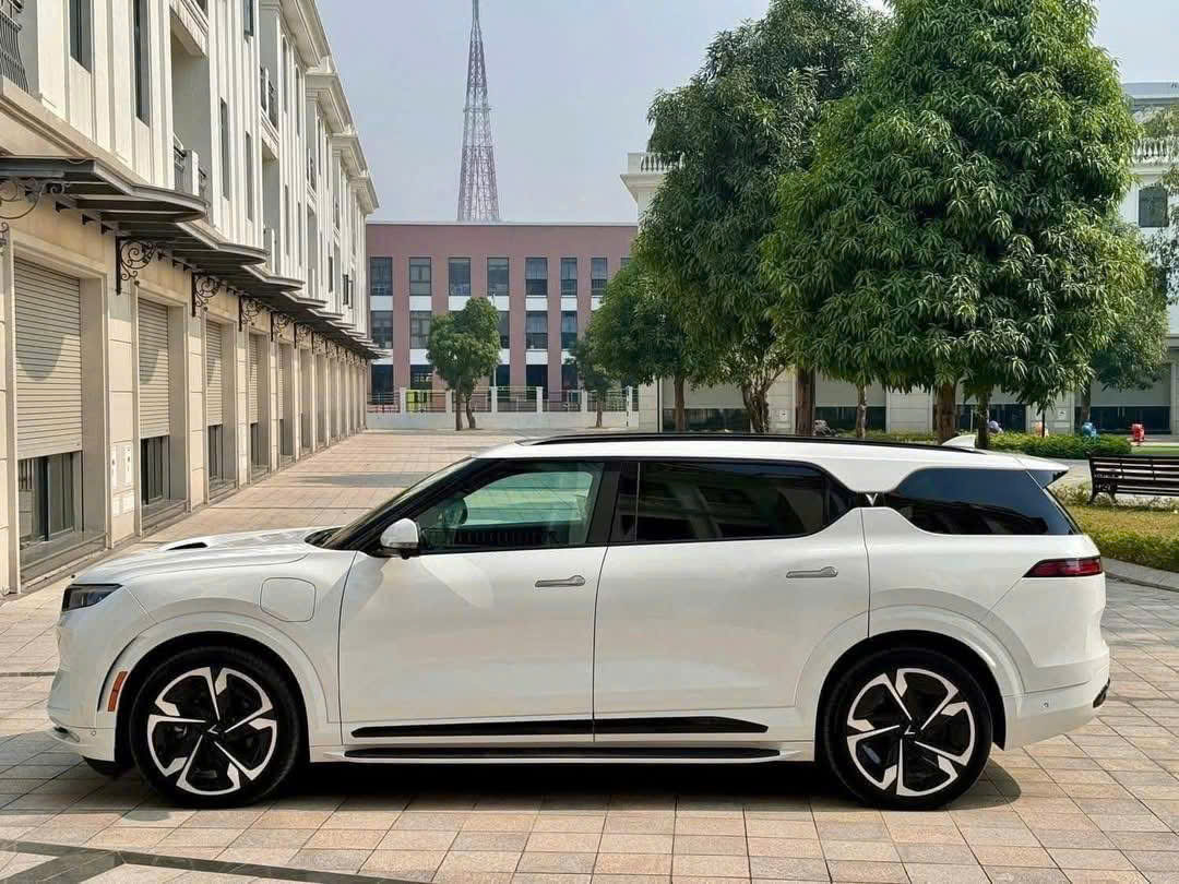 Ảnh số 11