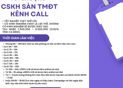 NHÂN VIÊN CHĂM SÓC KHÁCH HÀNG SÀN THƯƠNG MẠI ĐIỆN TỬ KÊNH CALL