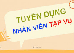 Cty Không Gian Xanh tuyển NV tạp vụ & NV thời vụ làm các quận