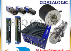 Camera quét vùng Datasensing chính hãng - 0932 600412