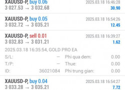 Robot bt group chuyên vàng