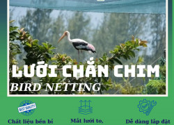 Lưới Chắn Chim - Giải Pháp Bảo Vệ Hiệu Quả