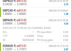 Robot bt group chuyên btc gold