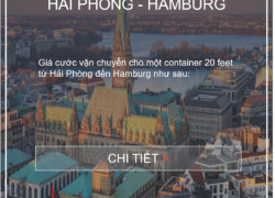 Giá Cước Vận Tải Biển Hàng Hóa Từ Việt Nam Đi Hamburg, Đức