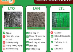 Lựa Chọn Lưới Việt - Sự Lựa Chọn Tốt Nhất