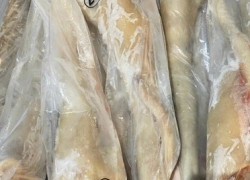 Thịt đùi gọ Trâu M42 nhập khẩu đóng nguyên thùng (20kg/thùng)