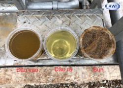 GREE-KWI GIẢI PHÁP HIỆU QUẢ TRONG XỬ LÝ NƯỚC THẢI CHĂN NUÔI VỚI CHI PHÍ HỢP LÝ