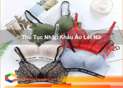 Thủ Tục Nhập Khẩu Áo Lót Nữ