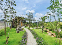 Cần bán Đất Xã N Thol Hạ Đức Trọng Diện tích 996m² Giá 3200 Triệu