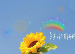 Nhân Viên Bán Hàng Mỹ Phẩm - Thu Nhập Hấp Dẫn Tại Gò Vấp