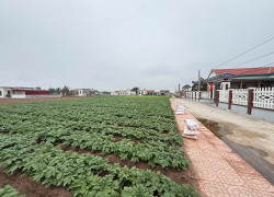 Đất nền ven biển Quất Lâm Nam Định