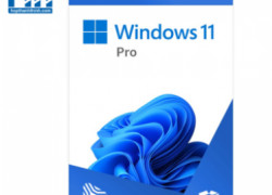 Phần mềm Window 11 Pro Sự chuyên nghiệp đến từ bạn