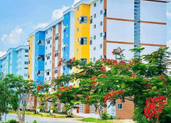 NHÀ Ở XÃ HỘI – GIÁ TRỊ THẬT – CƠ HỘI AN CƯ CHO MỌI GIA ĐÌNH