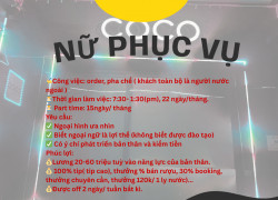 COCO bar cần tuyển 10 nhân viên phục vụ nữ, lượng khách ổn định, môi trường quốc tế.