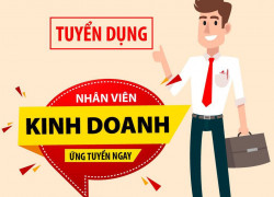 Tuyển nhân viên kinh doanh/ Thực tập sinh