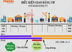 Điều kiện giao hàng CIF, tiền hàng, bảo hiểm và cước phí