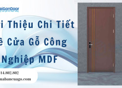 Giới Thiệu Chi Tiết Về Cửa Gỗ Công Nghiệp MDF