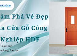 Khám Phá Vẻ Đẹp Của Cửa Gỗ Công Nghiệp HDF