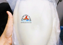mực nang bao nhiêu 1kg