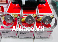 bán phin lọc danfoss, van tiết lưu danfoss kèm kim giá rẻ tại Bình Tân 0911219479