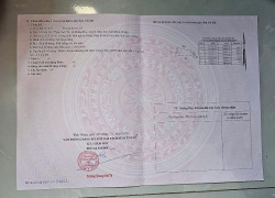 Bán Đất Thắng Hải 20x52 - Điện Tích:1033m2 - Giá Bán:1 Tỷ - Liện Hệ:0987750239