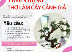 AURORA HOME Cty chuyên về cây cảnh giả tuyển Nam làm tại Tân Bình