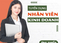 BĐS SKY REALTY tuyển 3 TPKD & 30 NVKD làm HCM & Vũng Tàu