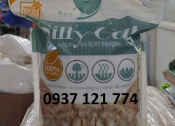 Cát vệ sinh Petsmix Secco Crystal Cat Litter 5L