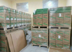 Cáp mạng CommScope Cat6 UTP