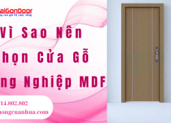Vì Sao Nên Chọn Cửa Gỗ Công Nghiệp MDF