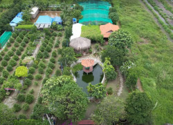 Bán đất Bình Chánh (MT Vườn Thơm); 21x88m; hạ tầng hoàn chỉnh; sổ đỏ; 14 tỷ