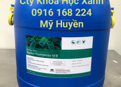 BACILLUS THURINGIENSIS – 10B