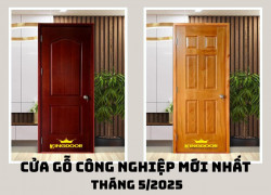 Cửa Gỗ Công Nghiệp Mới Nhất Tháng 5/2025