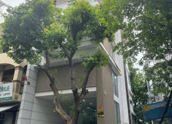 Bán Nhà Mặt Tiền Đường Hoa Cau, P7, Phú Nhuận, 6.3x17m, 49 Tỷ