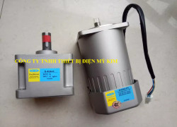 Động cơ điện Peei Moger M-4RK25A-C