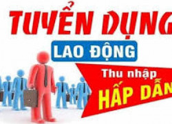 TUYỂN DỤNG LAO ĐỘNG PHỔ THÔNG