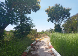 BÁN ĐẤT NỘI BỘ  LÝ NHƠN - CÀN GIỜ