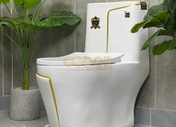 Bồn Cầu Trắng 1 Khối Viền Vàng CODOR